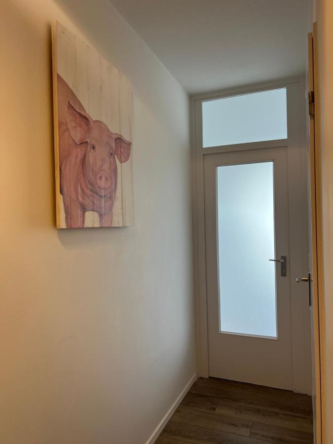 Apartmán Inselblick 2 Šlesvik Exteriér fotografie